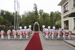 Свадьба в Петродворце