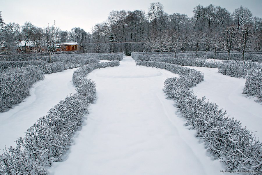 Фотографии Петергофа зимой